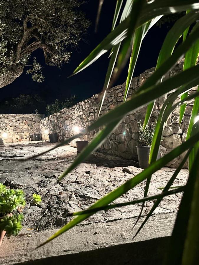 Olive Garden Apartments Poljica  エクステリア 写真